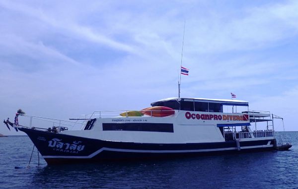 Ocean Pro Divers