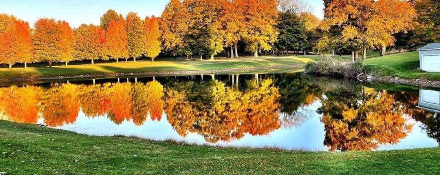 Webster Golf Club