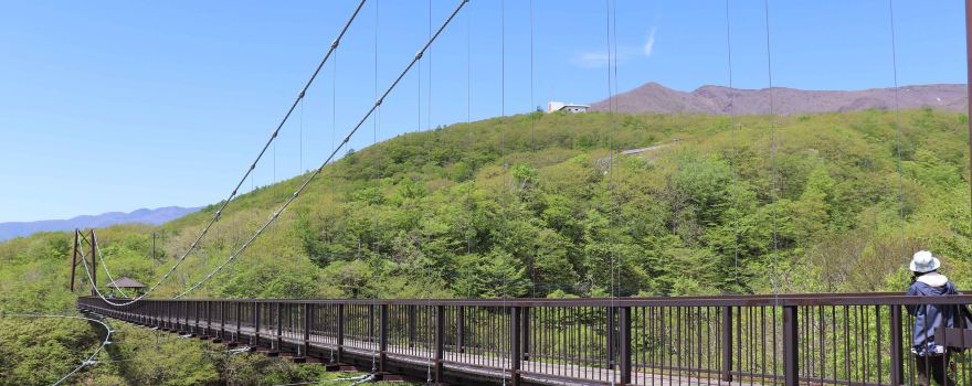 Tsutsuji Suspension Bridge