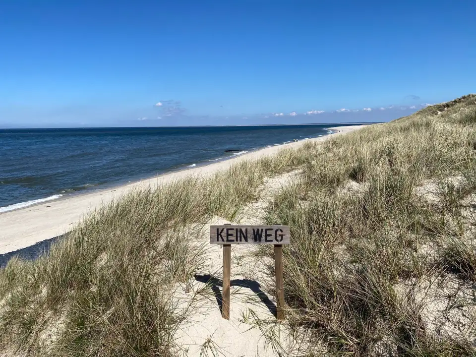 4_Ellenbogen