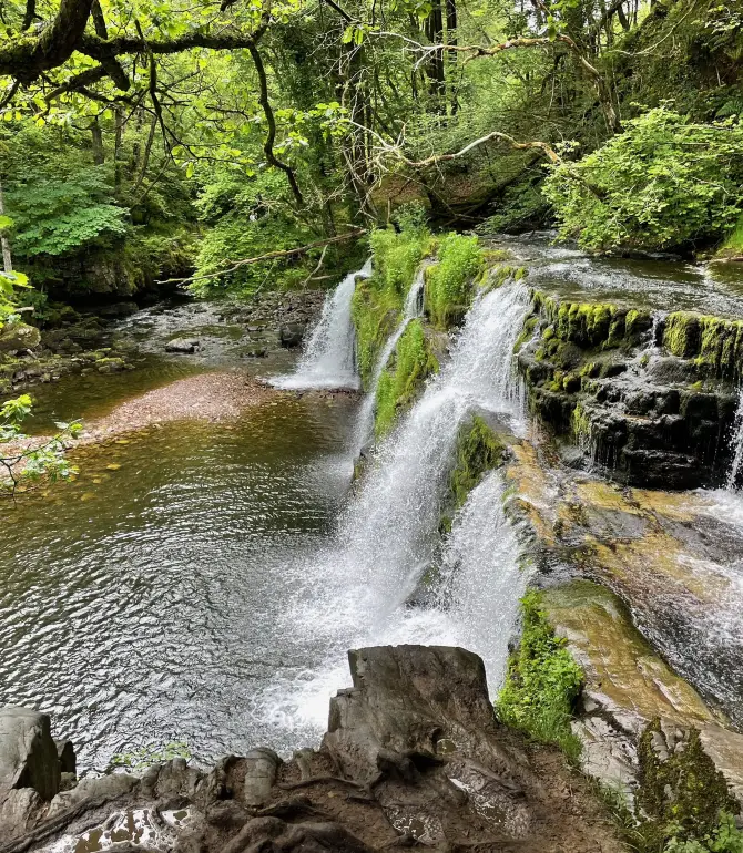 Allt-yr-Yn