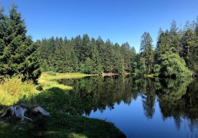 Centre Nature Les Cerlatez