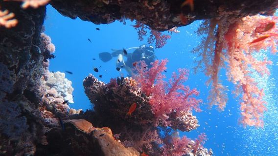Hurghada