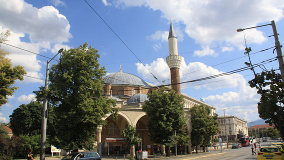 Sofia