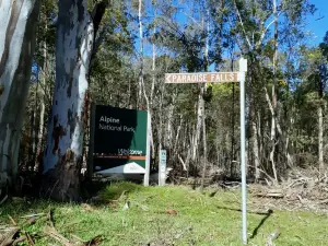 Paradise Falls