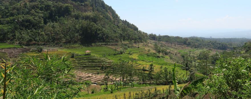 Selogriyo Temple