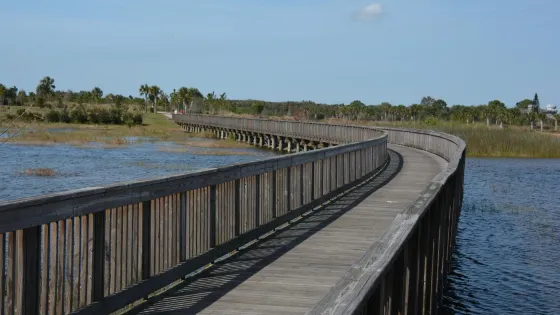 Wellington Environmental Preserve