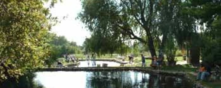Cold Springs Trout Farm