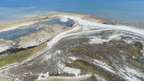 Hudson Bay Helicopters Ltd