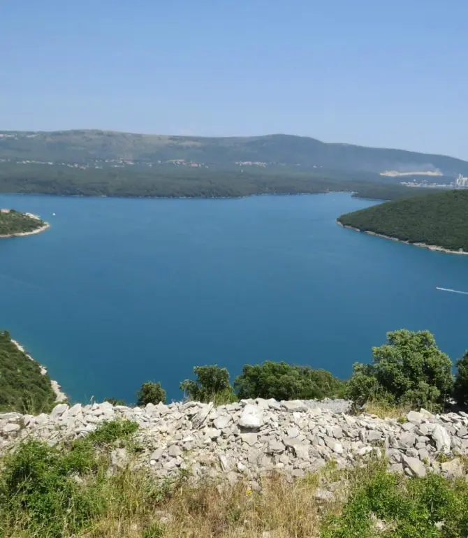 Draguzeti