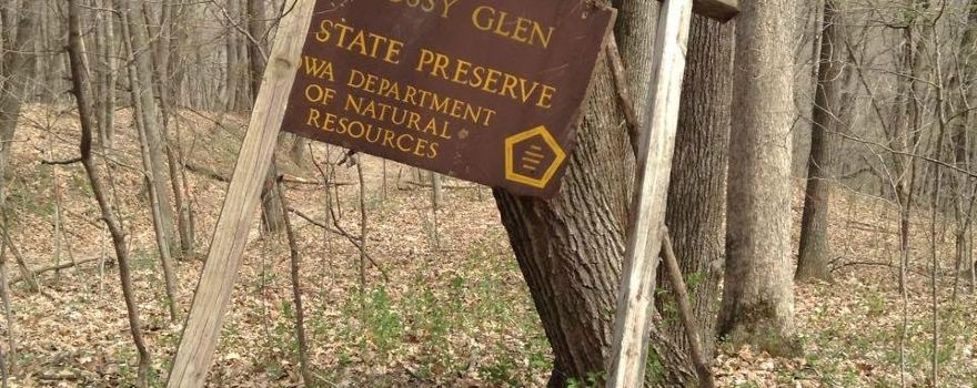 Mossy Glen State Preserve