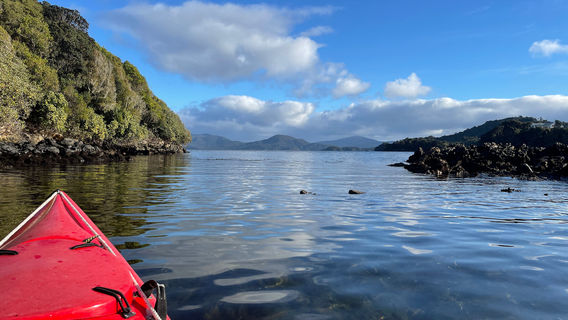 Stewart Island