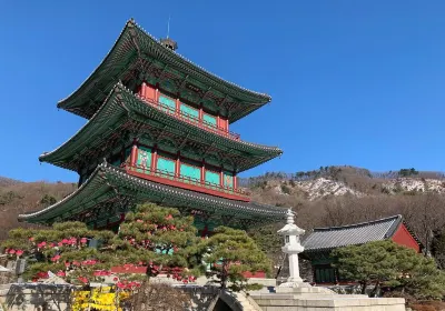 Jincheon-gun