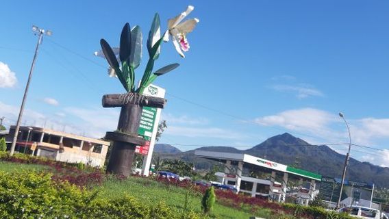 Agro Oriente Viveros