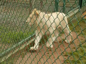 Concepción Zoo