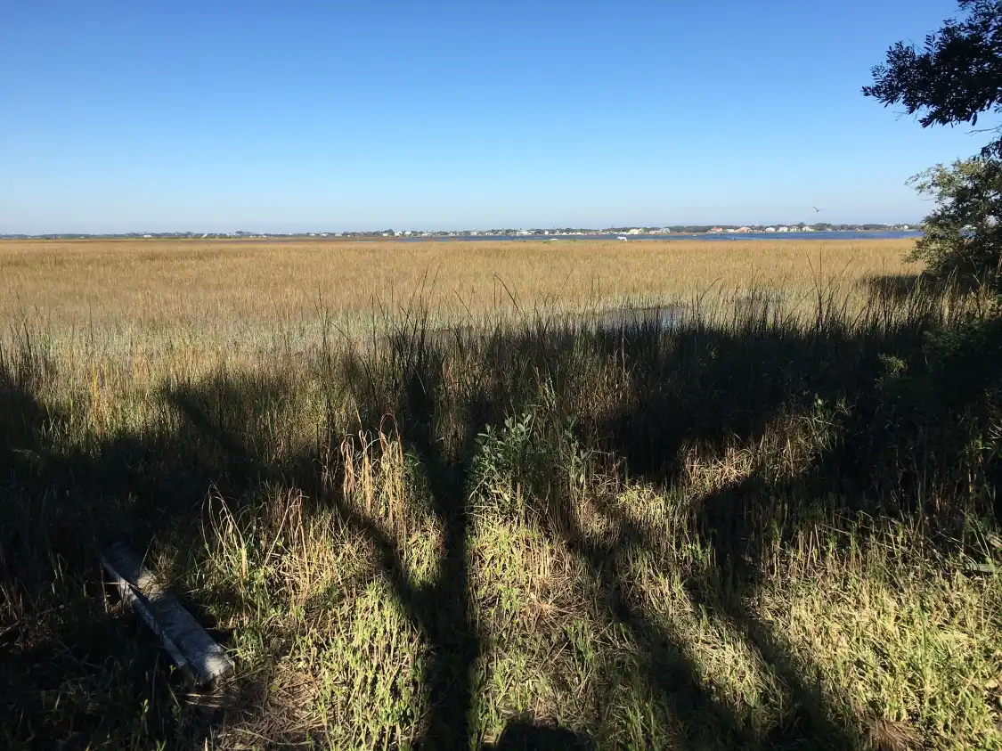 Hotels near Moses Creek Conservation Area