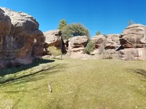 Parque Natural del Alto Tajo