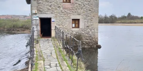 El molino de las aves