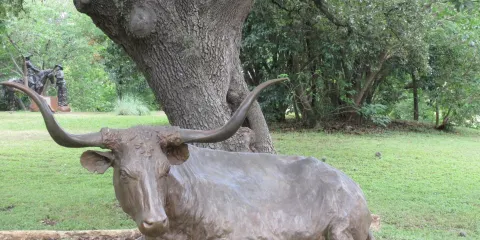 Chisholm Trail Crossing Park