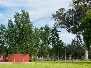 City Park