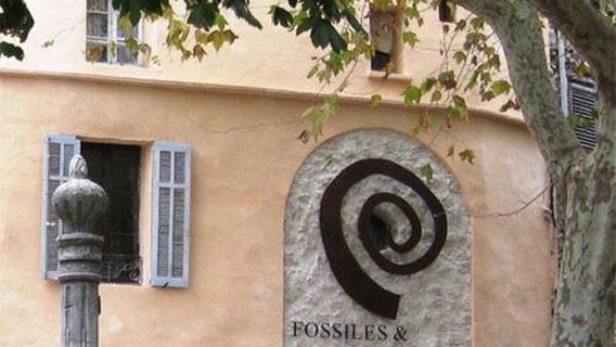 Musee Fossiles Mineraux