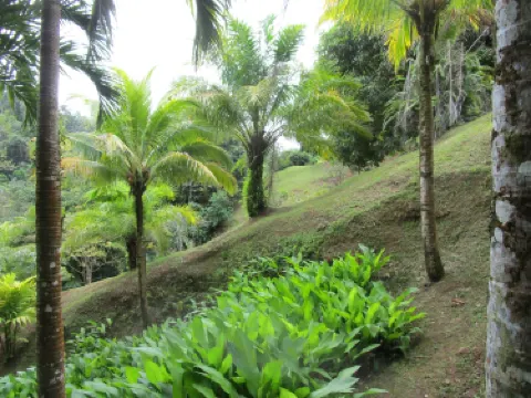 Le Jardin de Bonneville