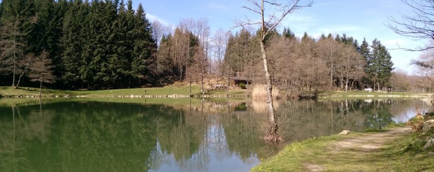Lago Pontini