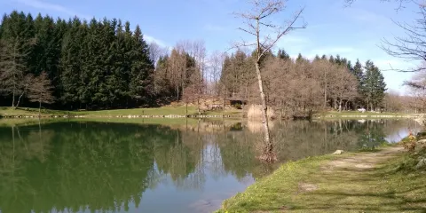 Lago Pontini