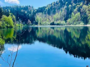 Nonnenmattweiher