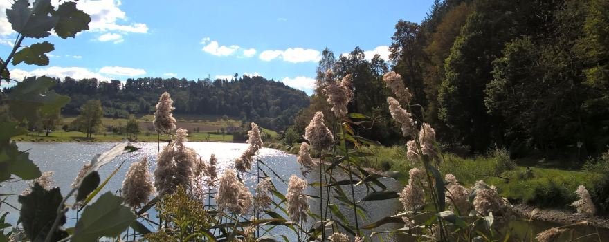 Pappelwaldsee Berghaupten