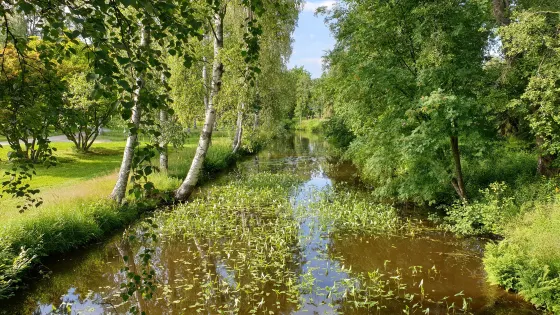 Kirjurinluoto