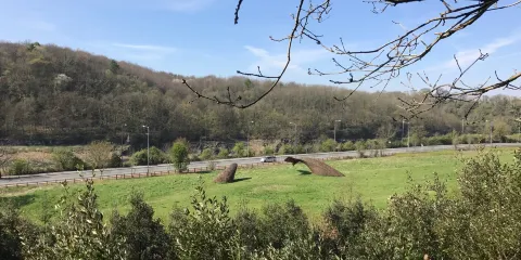 Bennett's Patch and White's Paddock