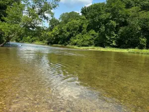 Jadwin Canoe Rental