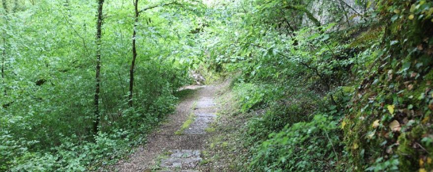 La Source de la Marne