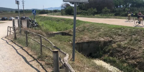 Spiaggia Di Torre Mozza