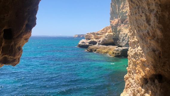 Carvoeiro