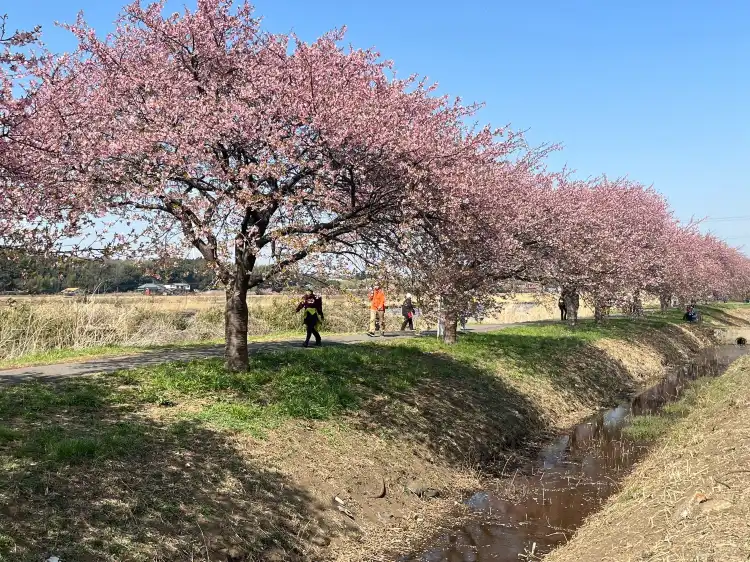 Hotels in Yachiyo