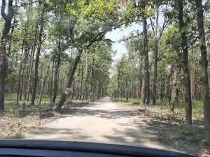 Chuka Eco Tourism Spot Entry Point