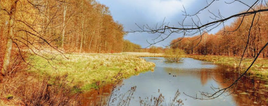 Uggeløse Skov