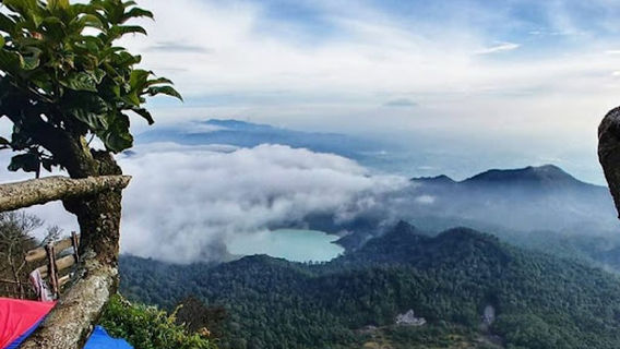 Sucinaraja