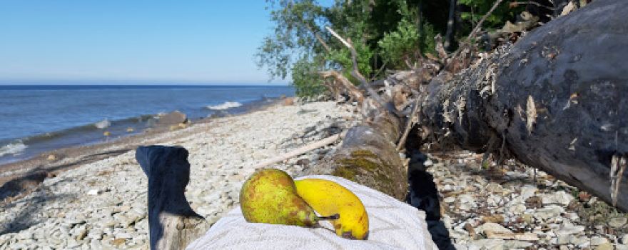 Ontika väike matkarada