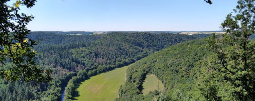 Panorama