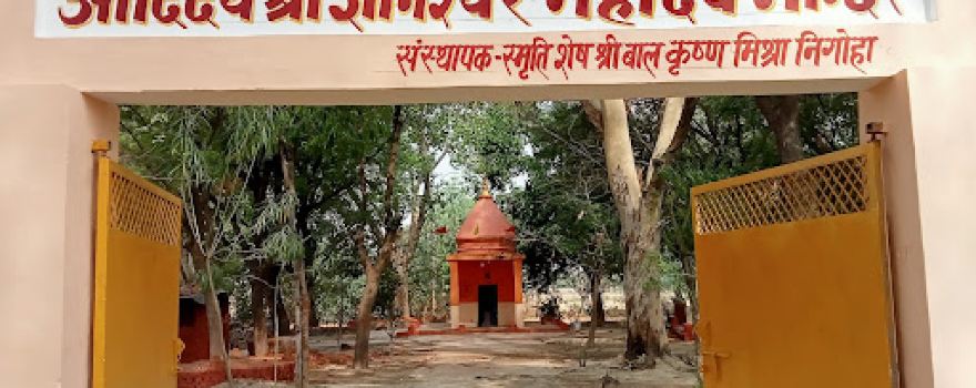 Adideo Shri Gyaneshwar Mahadev Mandir Sansthapak ( BAL KRISHNA MISHRA ) NIGOHA.