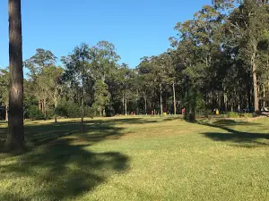 The Bucketts Way Camp n Stay
