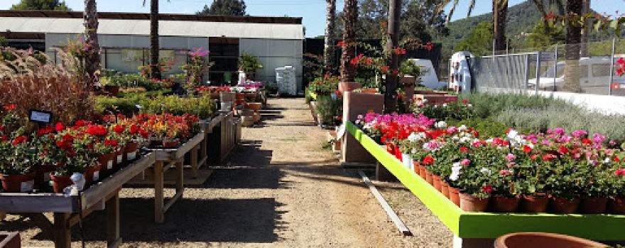 Eiviplant (Viveros para Jardinería)