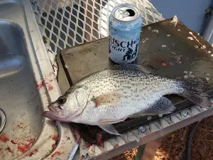 Lake Eufaula Fishing Guides