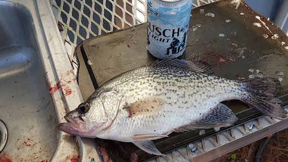Lake Eufaula Fishing Guides
