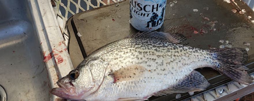 Lake Eufaula Fishing Guides