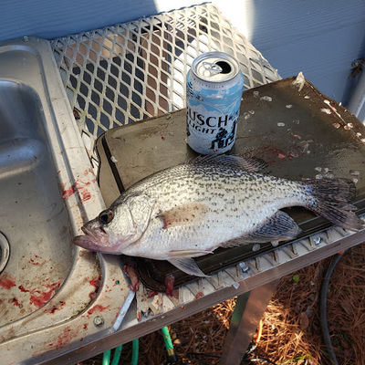 Lake Eufaula Fishing Guides