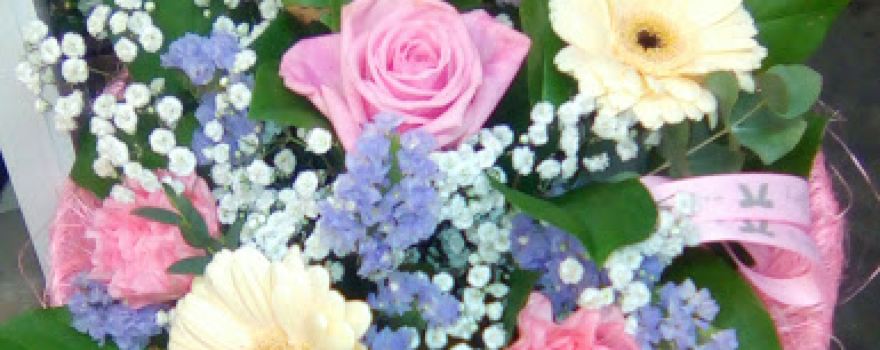 Petals Garden & Florist Centre
